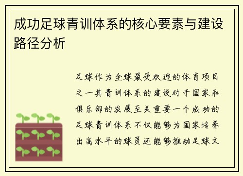 成功足球青训体系的核心要素与建设路径分析