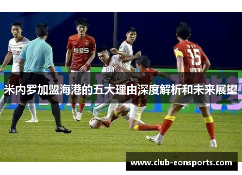 米内罗加盟海港的五大理由深度解析和未来展望 米内罗加盟海港的五大理由深度解析和未来展望