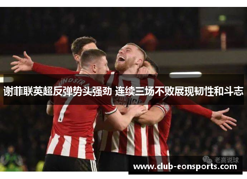 谢菲联英超反弹势头强劲 连续三场不败展现韧性和斗志 谢菲联英超反弹势头强劲 连续三场不败展现韧性和斗志